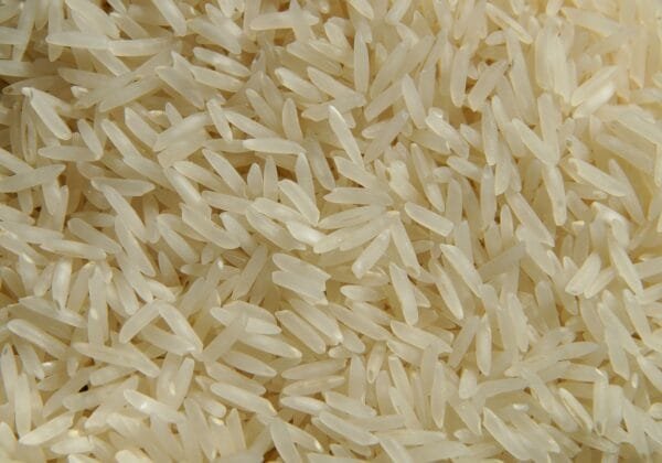Rice - Image 3