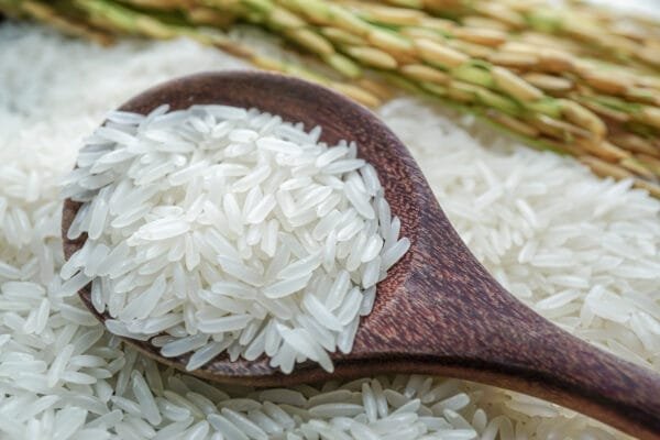 Rice