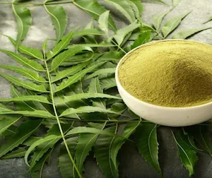 Neem Powder