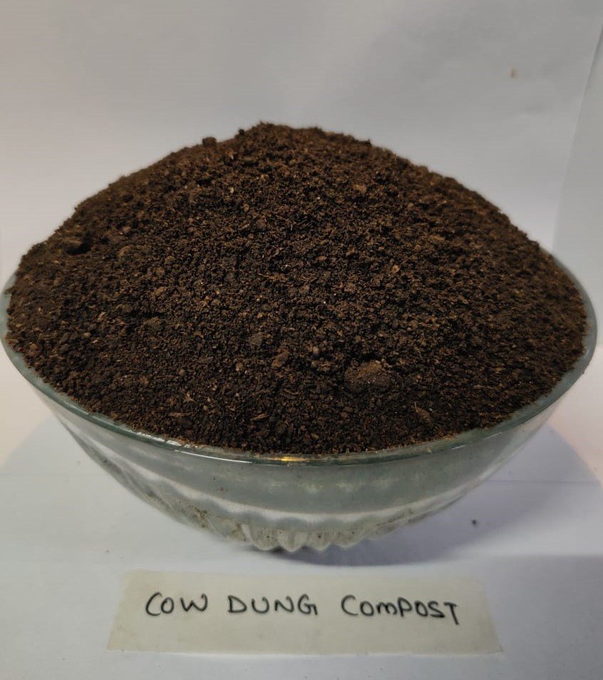 Cow Dung Compost