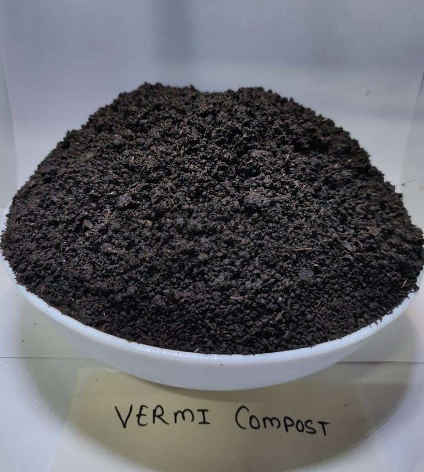 Vermicompost