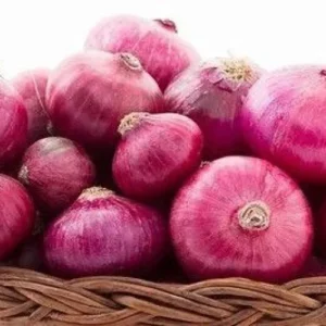 Red Onion