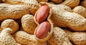 Grountnut