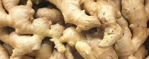 Fresh Ginger