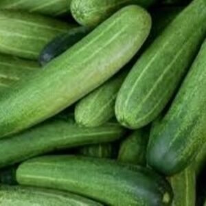 Fresh Kheera (Cucumber)