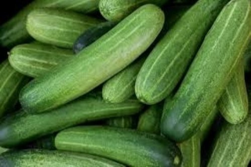 Fresh Kheera (Cucumber)