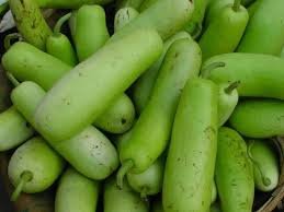 Fresh Lauki (Bottle Gourd)